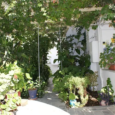 Irene 1 Apartment Naxos City