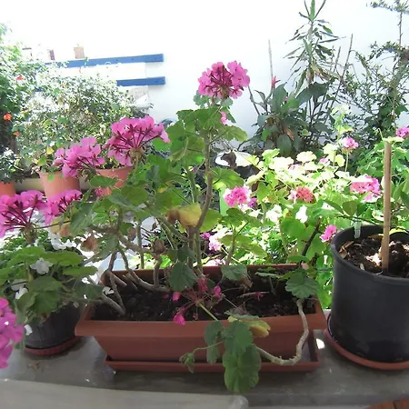 Apartmán Irene 1