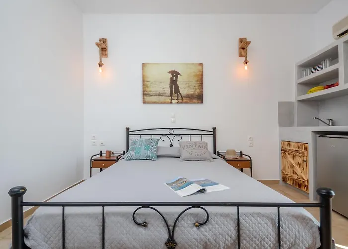 艾琳1号膳食公寓 * Naxos City